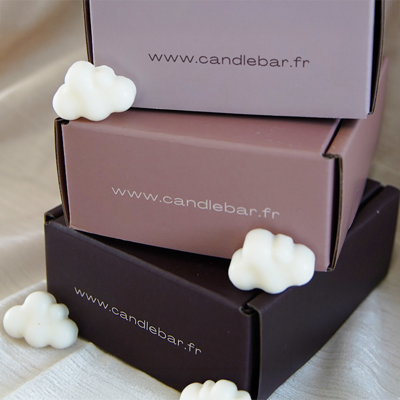 FONDANT POUR BRÛLEUR x10