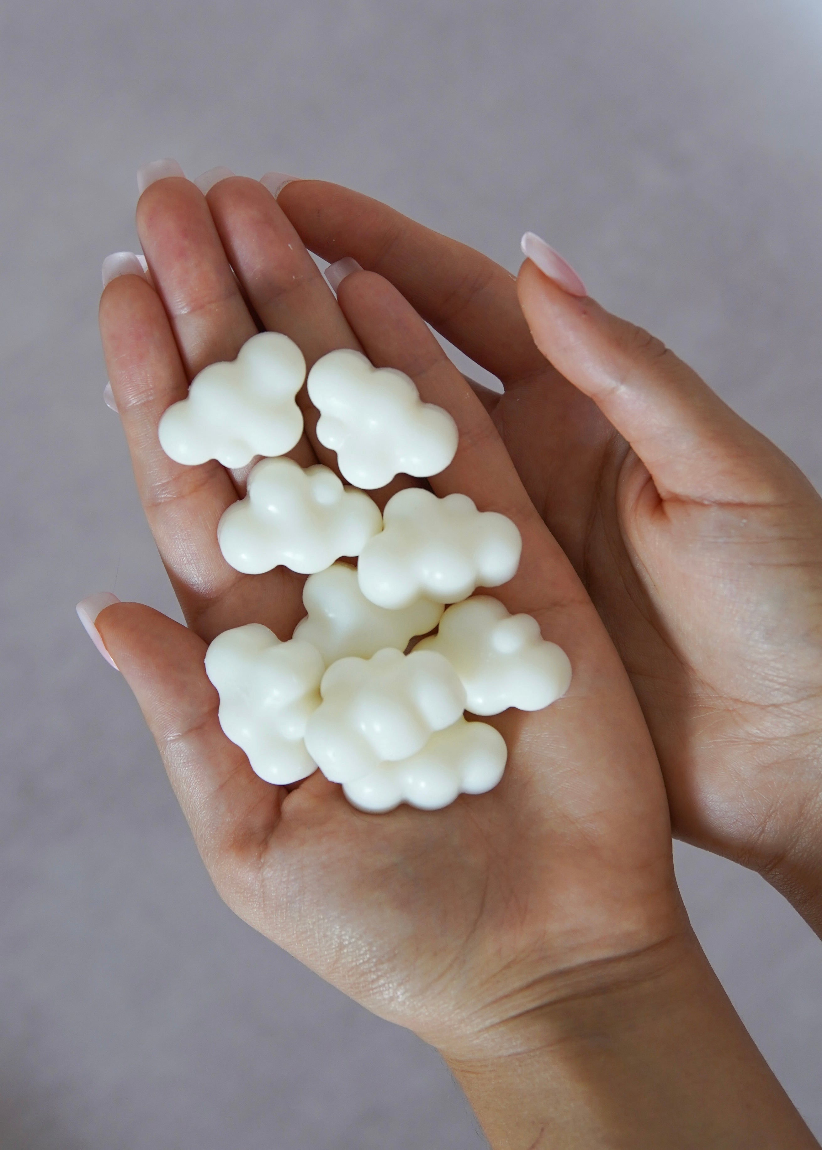 FONDANT POUR BRÛLEUR x10